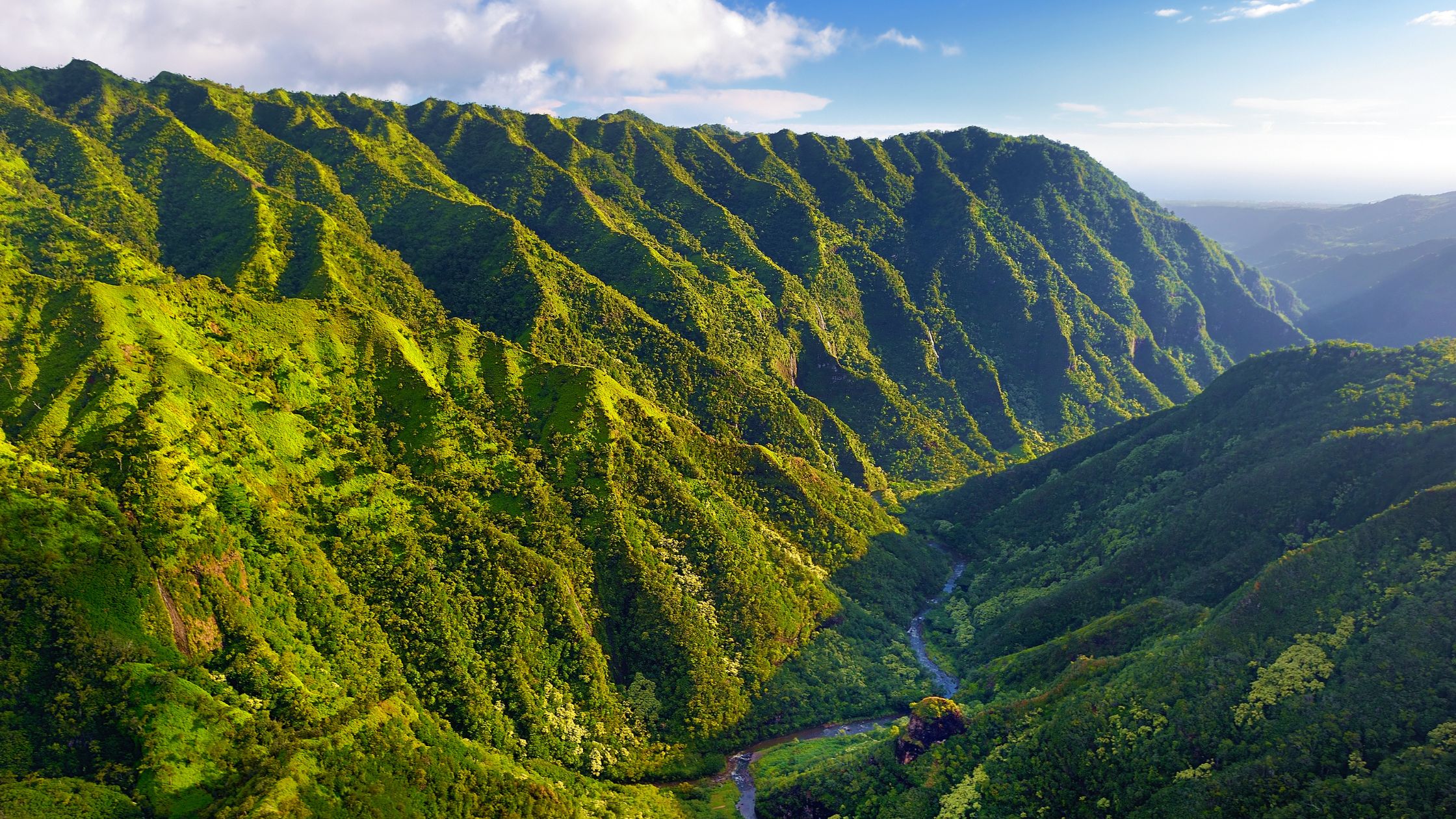 Madeira Is the World's #1 Trending Destination for 2026 — Here's Why